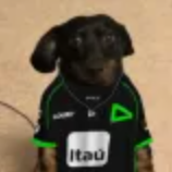 NeoX Avatar